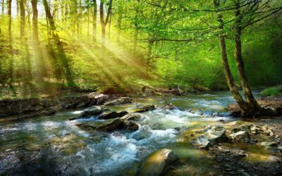 Across the Threshold: Fullness in the Flow