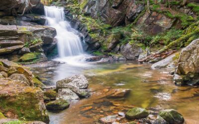 Across the Threshold: Surrender to the Flow