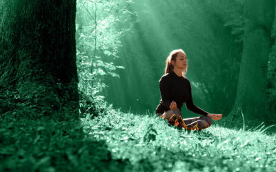 Across the Threshold: Contemplative Living