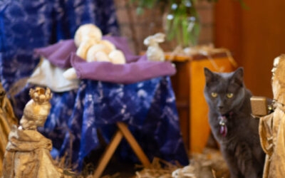 Across the Threshold: Love is Most Strong