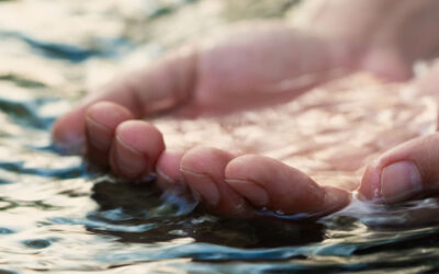 Across the Threshold: One Heartbeat at a Time