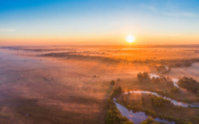 Across the Threshold: In Hearts Reborn